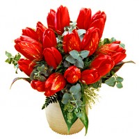 Tulipany miłości